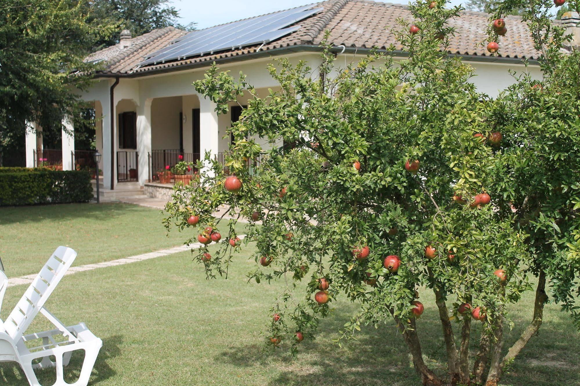 Hotel Relais La Mimosa Pontinia Exterior foto